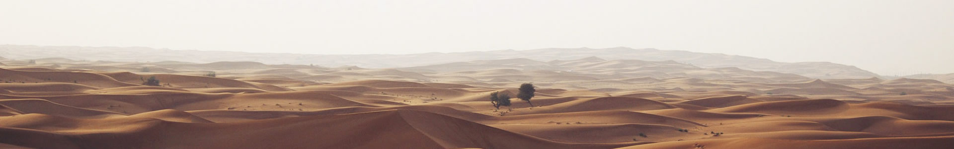 ʺװ޹˾